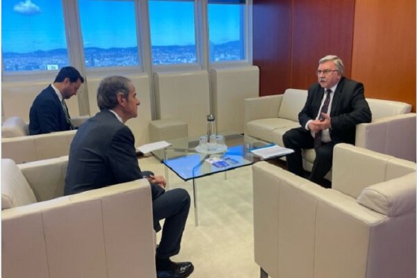 Oliyanov Meets with Grossi to Discuss Iran