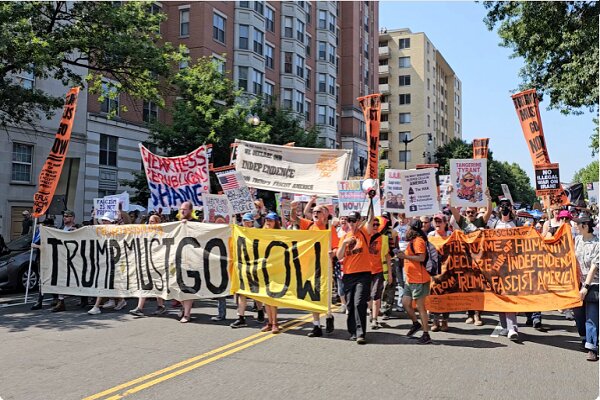 Americans Protest Against Trump on Independence Day