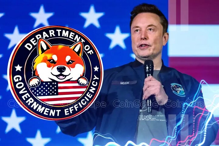 Government or Commercial Enterprise? Analyzing the Causes of Elon Musk’s DOGE Plan Failure Under the Trump Administration