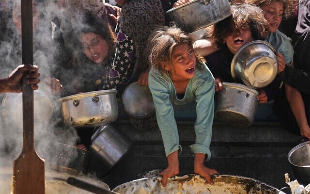 Haaretz: Hunger War Against Gaza Fails; Army and Cabinet Are Confused