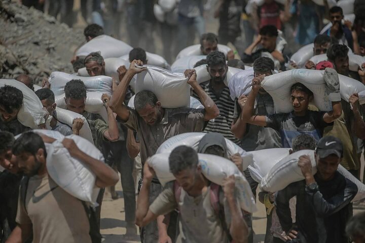 82 Palestinians Killed and Dozens Wounded Since Friday Dawn